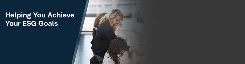 ESG Course Explainer